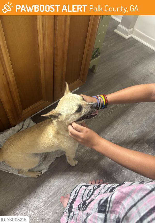 Found/Stray Male Dog last seen Cedartown Georgia, Polk County, GA 30147