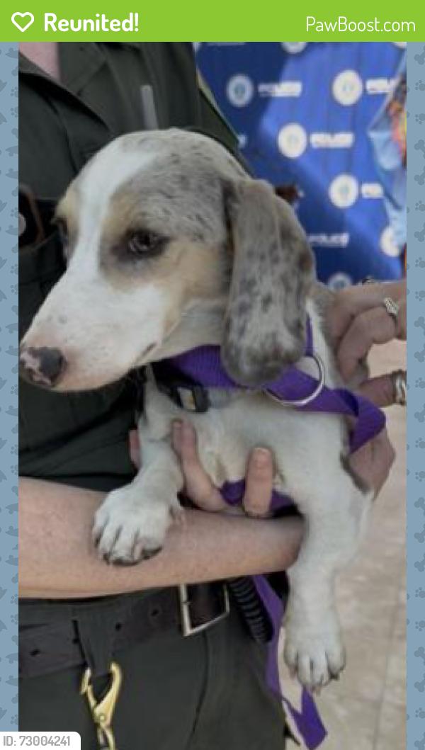 Reunited Unknown Dog last seen Near Mcintosh Pallet (Fence Line), Rome, NY 13440
