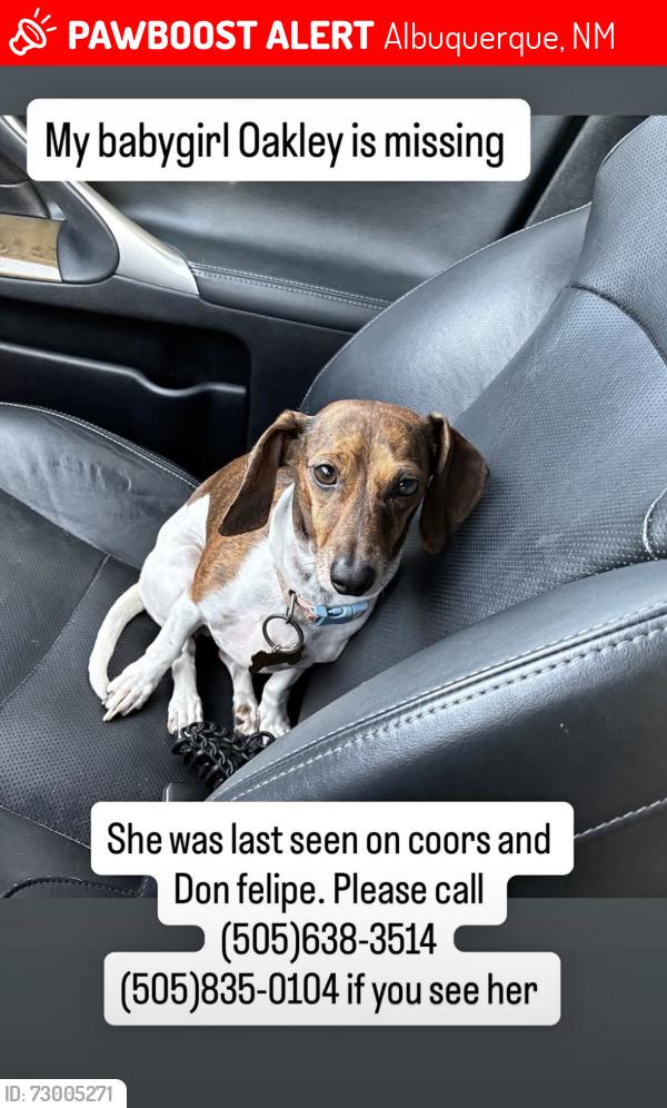 Lost Female Dog last seen Coors, Albuquerque, NM 87105