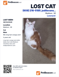 Lost Male Cat last seen East Washington Frontage road, Madison, WI 53704