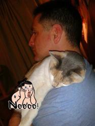 Lost Female Cat last seen Henderson, munger, henderson, Dallas, TX 75214