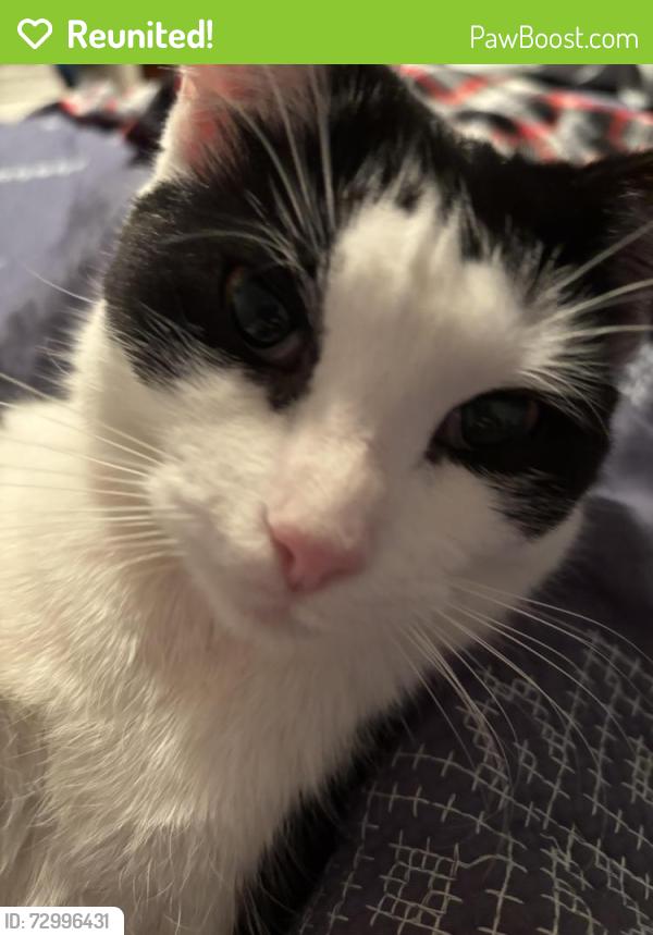 Reunited Female Cat last seen Makefield Rd & Hedgerow Drive, Morrisville, PA 19067