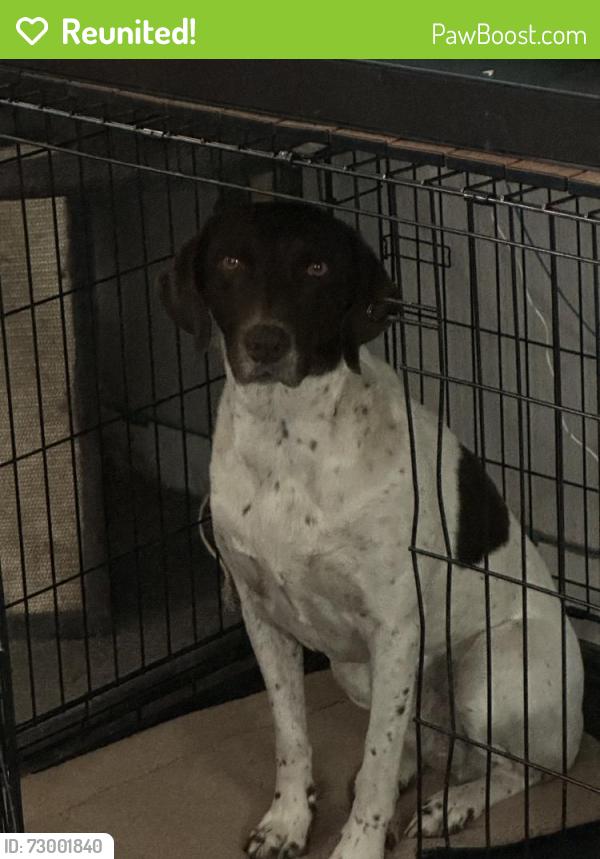 Reunited Female Dog last seen Lindenmeier Rd, Fort Collins, CO 80524, USA, Fort Collins, CO 80524