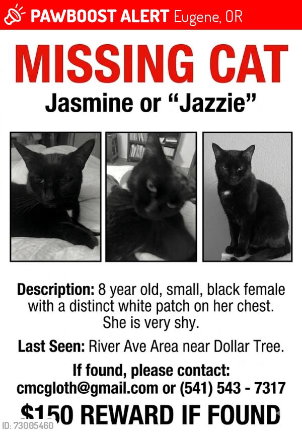 Lost Female Cat last seen Near River Ave Eugene OR 97404, Eugene, OR 97404
