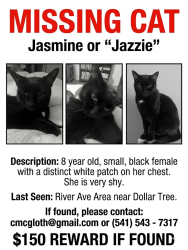 Lost Female Cat last seen Near River Ave Eugene OR 97404, Eugene, OR 97404