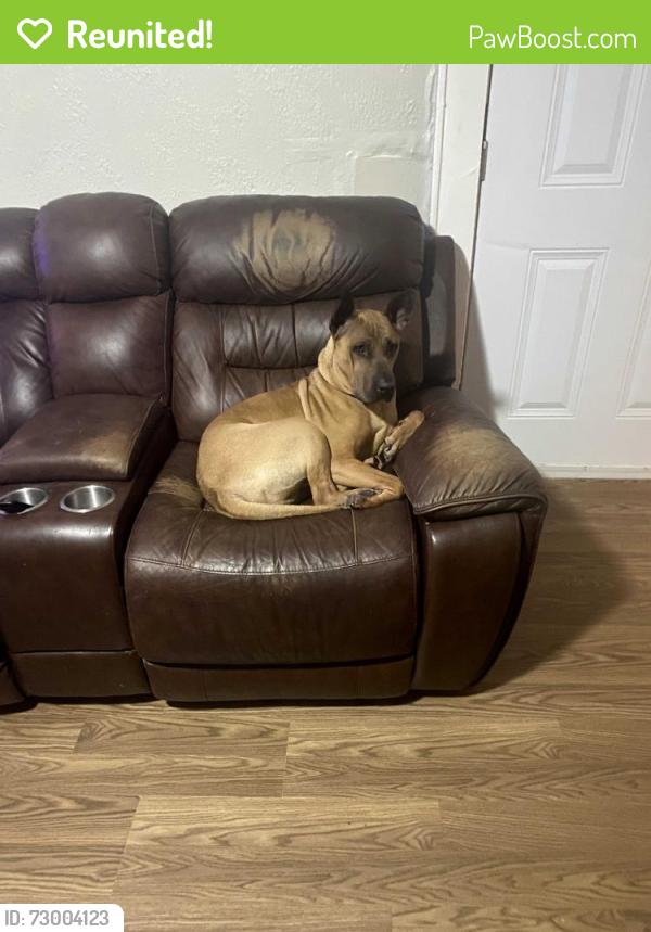 Reunited Male Dog last seen 43rd & Bernardo de Galvez Avenue , Galveston, TX 77550