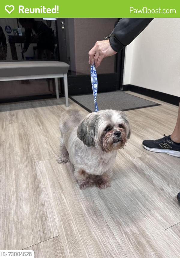 Reunited Unknown Dog last seen Calle Tulipan and Ave de las Plantas, Thousand Oaks, CA 91360