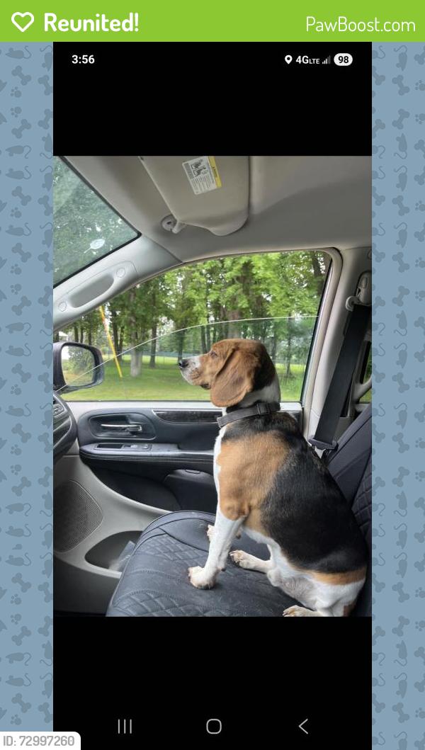 Reunited Male Dog last seen East side Rush City Government  Road, Rush City, MN 55069
