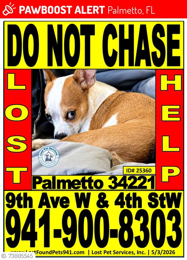 Lost Female Dog last seen Across from Cemex concrete plant, Palmetto, FL 34221