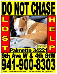 Lost Female Dog last seen Across from Cemex concrete plant, Palmetto, FL 34221