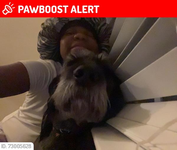 Lost Male Dog last seen Leman Rd,  Leman Meadows, Taylor Bend Dr, Rising Hill Dr & Piper Bend Dr.   , Canal Winchester, OH 43110