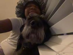 Lost Male Dog last seen Leman Rd,  Leman Meadows, Taylor Bend Dr, Rising Hill Dr & Piper Bend Dr.   , Canal Winchester, OH 43110