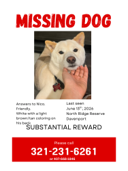 Reunited Male Dog last seen North Ridge Reserve Davenport FL, Davenport, FL 33837