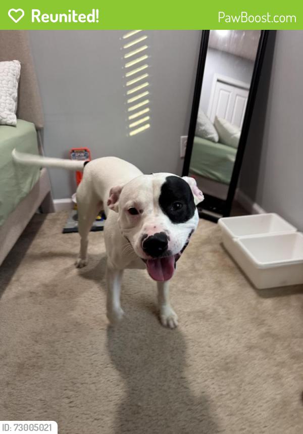 Reunited Male Dog last seen Red Tip Dr SE, Concord, NC 28025
