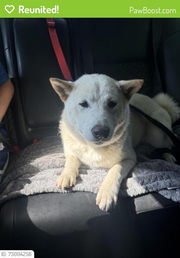 Reunited Male Dog last seen Walton Neighborhood , Prince William County, VA 20112