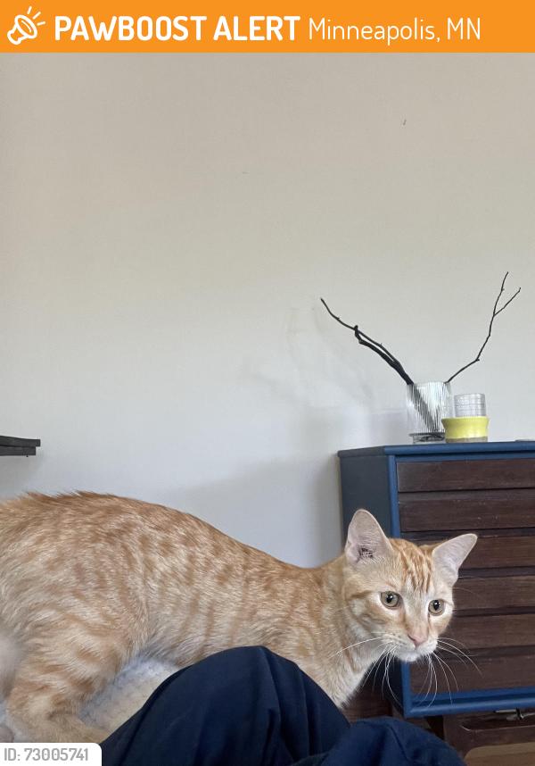 Found/Stray Male Cat last seen Seward Co-Op on 38th, Minneapolis, MN 55409