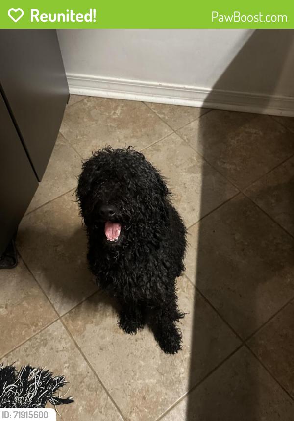 Reunited Male Dog last seen Broadview Circle, Okaloosa County, FL 32539