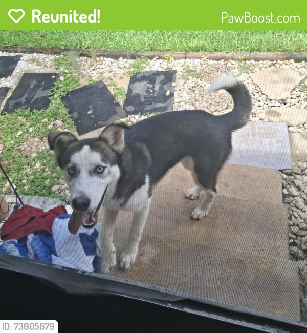 Reunited Unknown Dog last seen Landa Park, New Braunfels, TX 78130