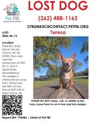 Lost Female Dog last seen Ives Grove Golf course, Union Grove, WI 53182