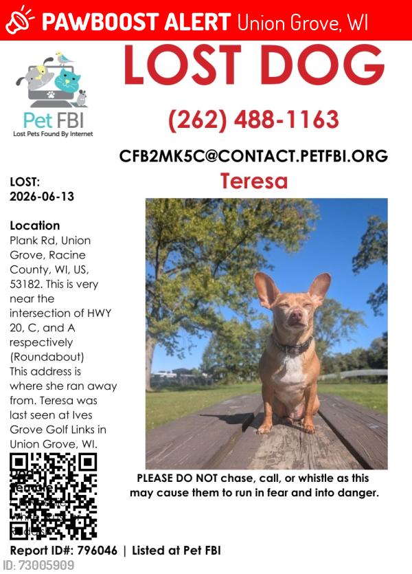 Lost Female Dog last seen Ives Grove Golf course, Union Grove, WI 53182