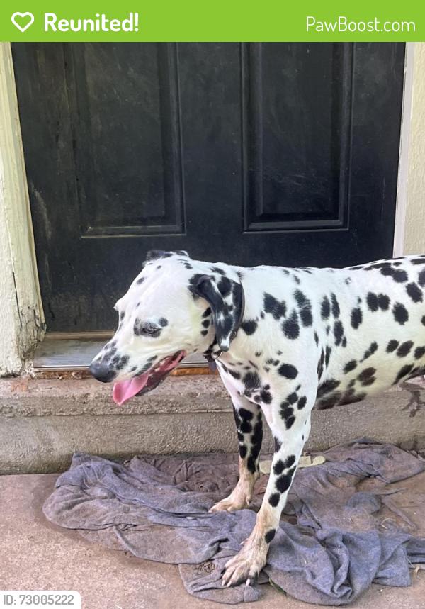 Reunited Male Dog last seen Starling ct , Cleburne, TX 76033
