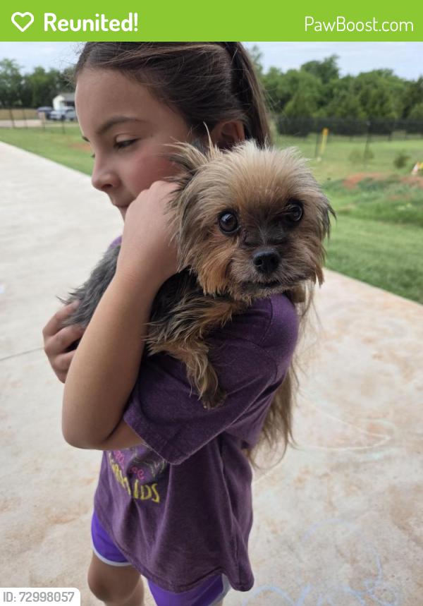 Reunited Female Dog last seen Huntington and Livingston , Edmond, OK 73034