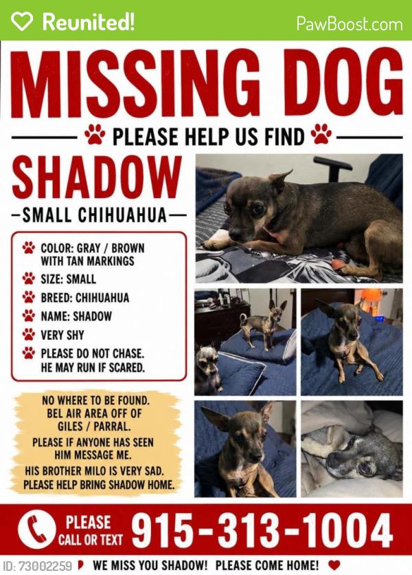 Reunited Male Dog last seen Giles, El Paso, TX 79915