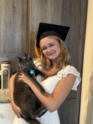 Lost Male Cat last seen Raintree Drive , Palm Beach Gardens, FL 33410