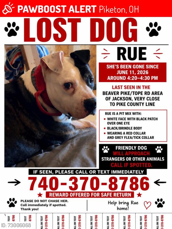 Lost Female Dog last seen Beaver pike, top rd , Piketon, OH 45661
