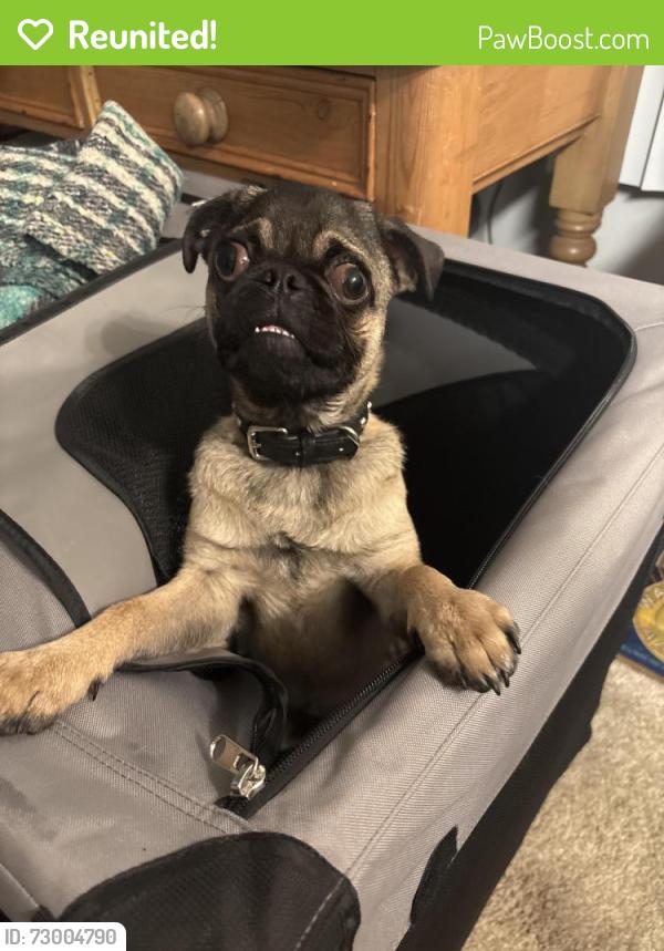 Reunited Male Dog last seen Jenny Drive, Huntington Beach, CA 92646