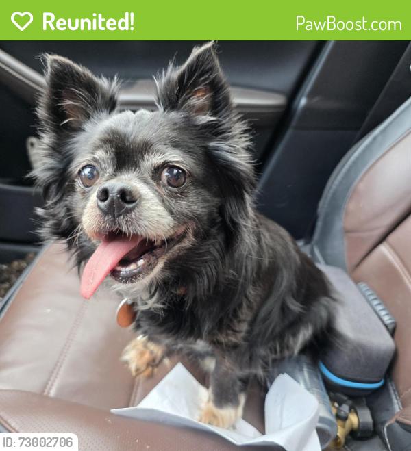 Reunited Male Dog last seen 111th & Elm, Broken Arrow, OK 74012