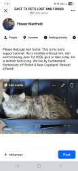 Lost Male Cat last seen Shiloh & New Copeland in Tyler, Tyler, TX 75703