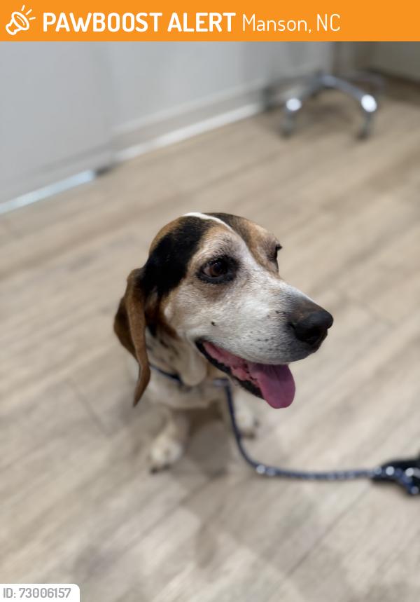Found/Stray Female Dog last seen Side road near Rutherfordton, Manson, NC 27556