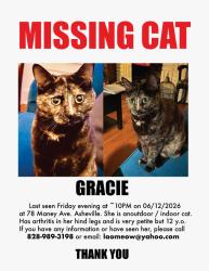 Lost Female Cat last seen Maney Ave , Asheville, NC 28804