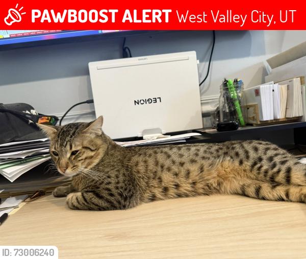 Lost Female Cat last seen Near s 6200 W West Valley Cit6y , West Valley City, UT 84118