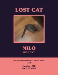 Lost Male Cat last seen Sunset dr, Village of Lakewood, IL 60014
