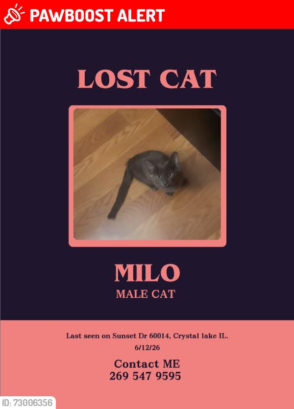 Lost Male Cat last seen Sunset dr, Village of Lakewood, IL 60014