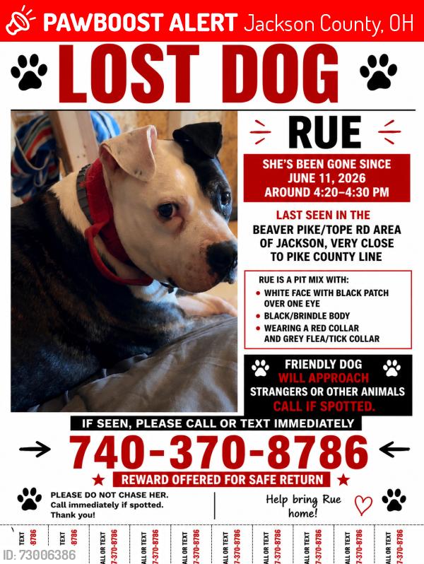 Lost Female Dog last seen Tope rd/Beaver Pike, Jackson County, OH 45640
