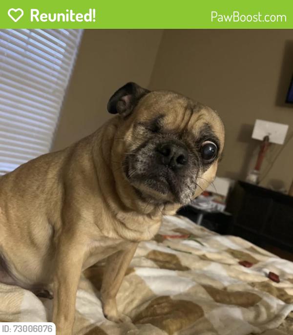 Reunited Female Dog last seen anderson mill, Austin, TX 78750