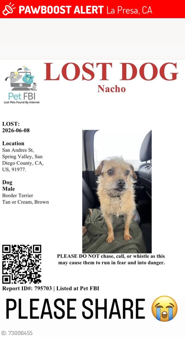 Lost Male Dog last seen San Andres St , La Presa, CA 91977