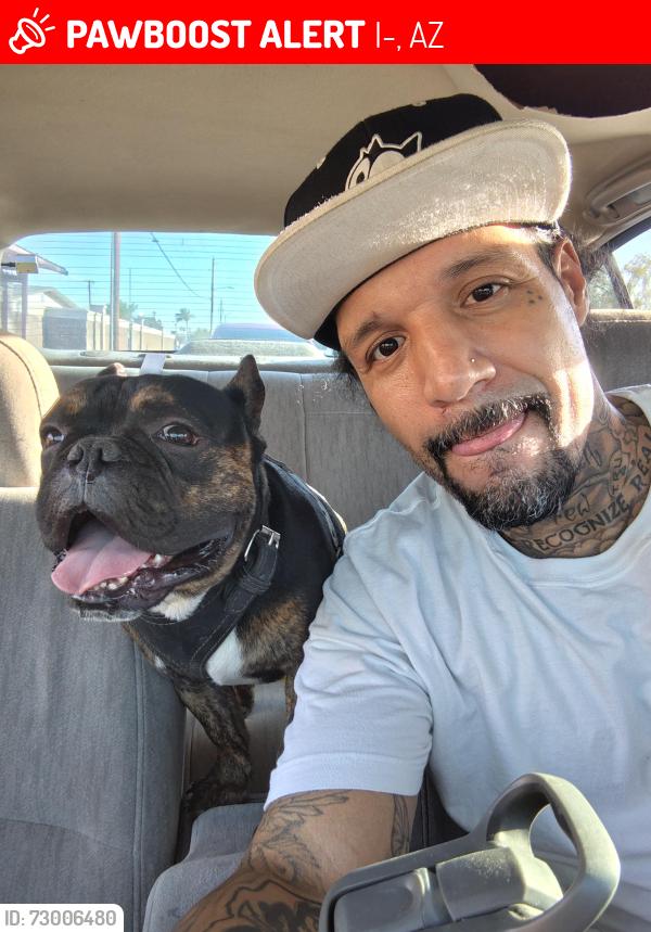 Lost Male Dog last seen I-17 between Northern/ Dunlap , Phoenix, AZ 85021