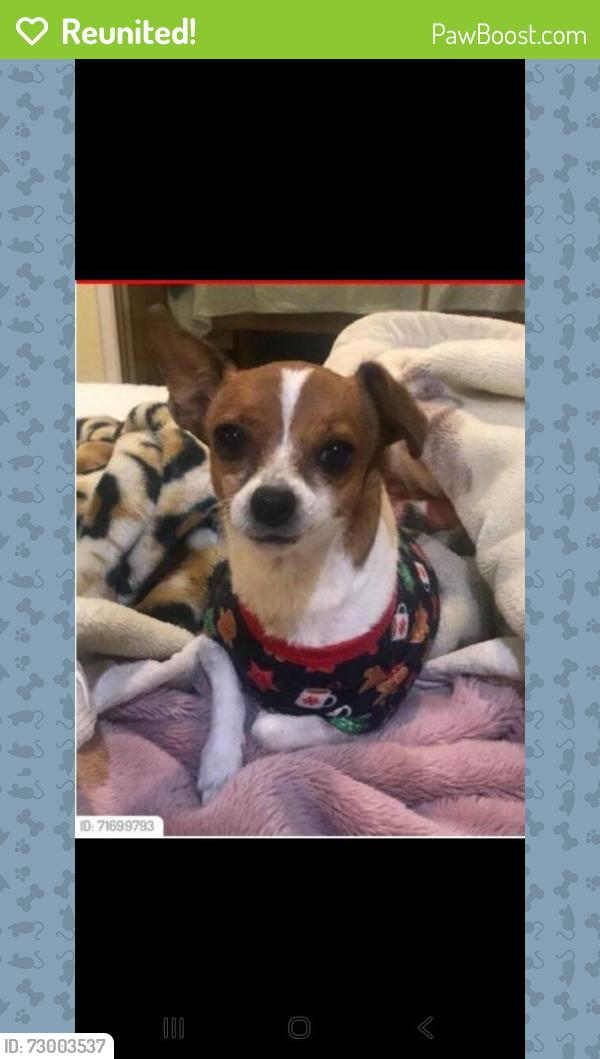 Reunited Female Dog last seen Bradford , Pomona, CA 91767