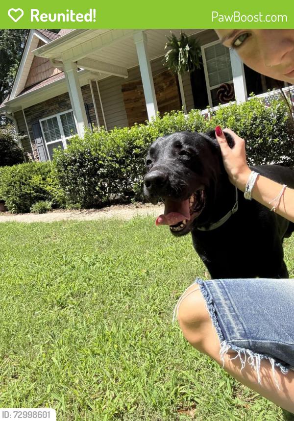 Reunited Male Dog last seen forestry station, County Line Rd, GA 30224