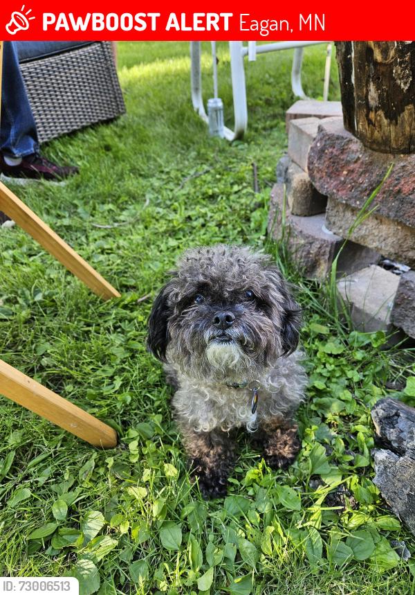 Lost Male Dog last seen Wood Lark Lane & Red Cedar Rd,  Eagan,  MN 55121, Eagan, MN 55121