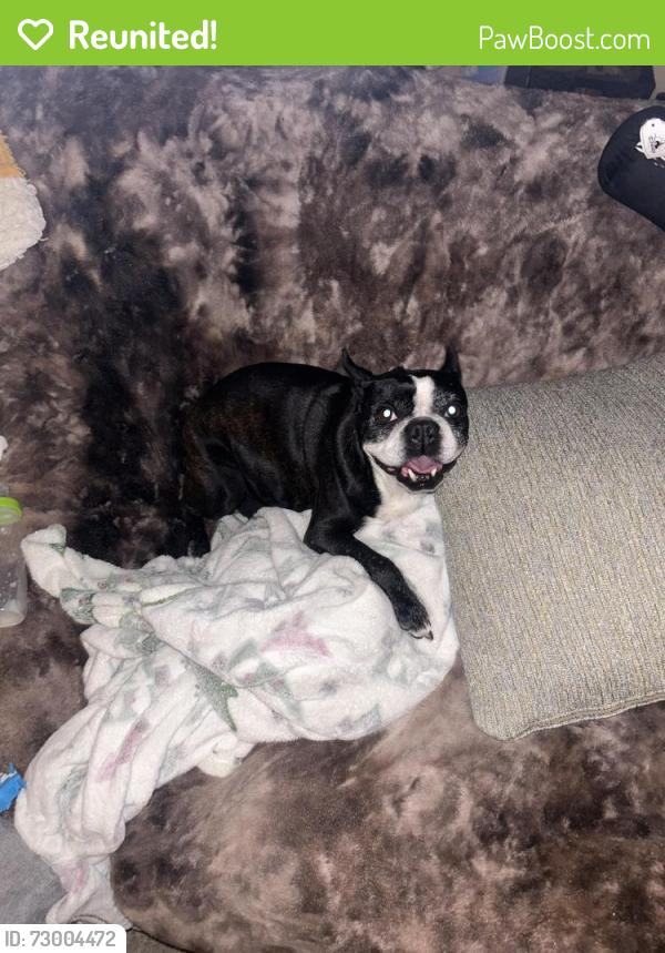 Reunited Female Dog last seen Lee St, Simi Valley, CA 93065, USA, Simi Valley, CA 93065