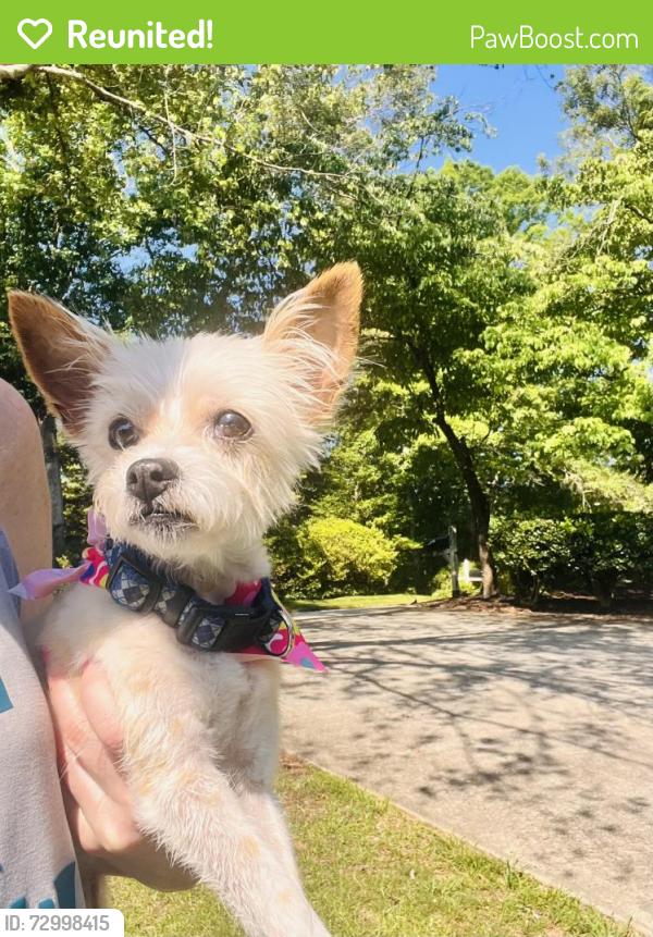 Reunited Female Dog last seen Pebble Creek Drive , Taylors, SC 29687