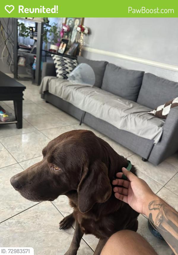 Reunited Male Dog last seen Duncan & Jersey near Don Lorenzi Park, Riverside, CA 92503