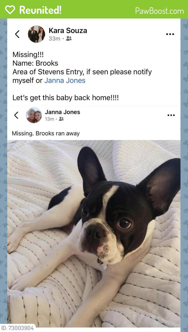 Reunited Male Dog last seen Steven’s Entry, Peachtree City, GA 30269