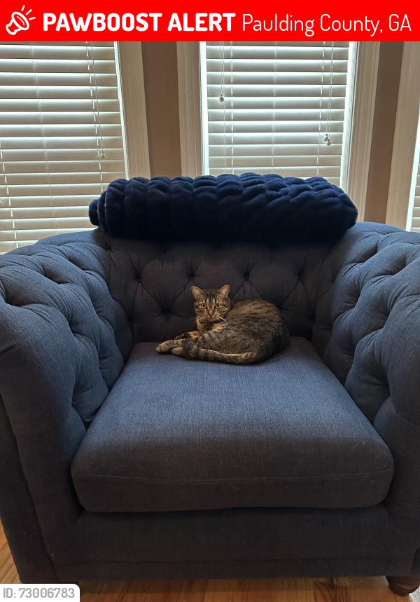 Lost Female Cat last seen Bentwater, Paulding County, GA 30101
