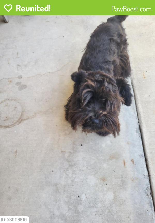 Reunited Female Dog last seen County Center & W. Vine Ct., Visalia , Visalia, CA 93291